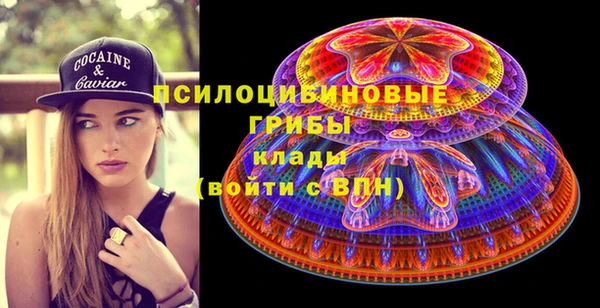 молекула духа Кулебаки