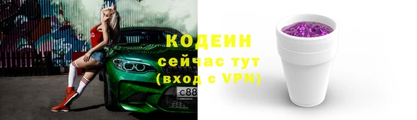 молекула духа Кулебаки