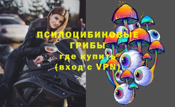 молекула духа Кулебаки