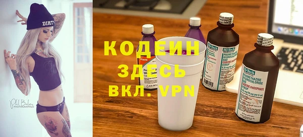 молекула духа Кулебаки