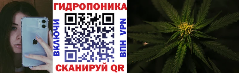 МЕГА ссылки  Нариманов  Канабис индика  где купить наркоту 